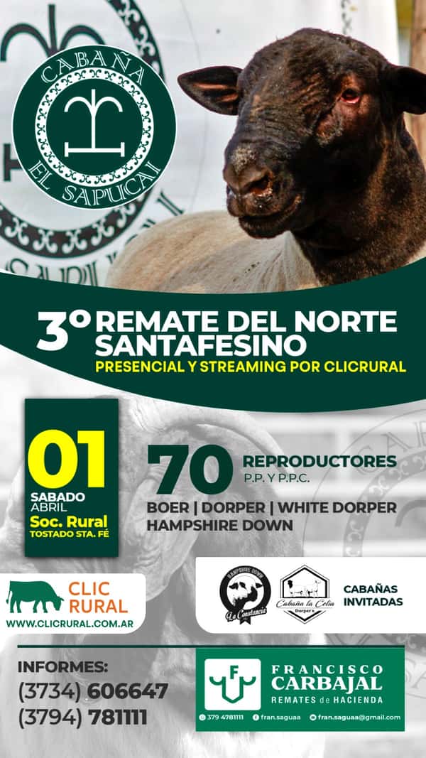 Remate 3° Remate del Norte Santafesino