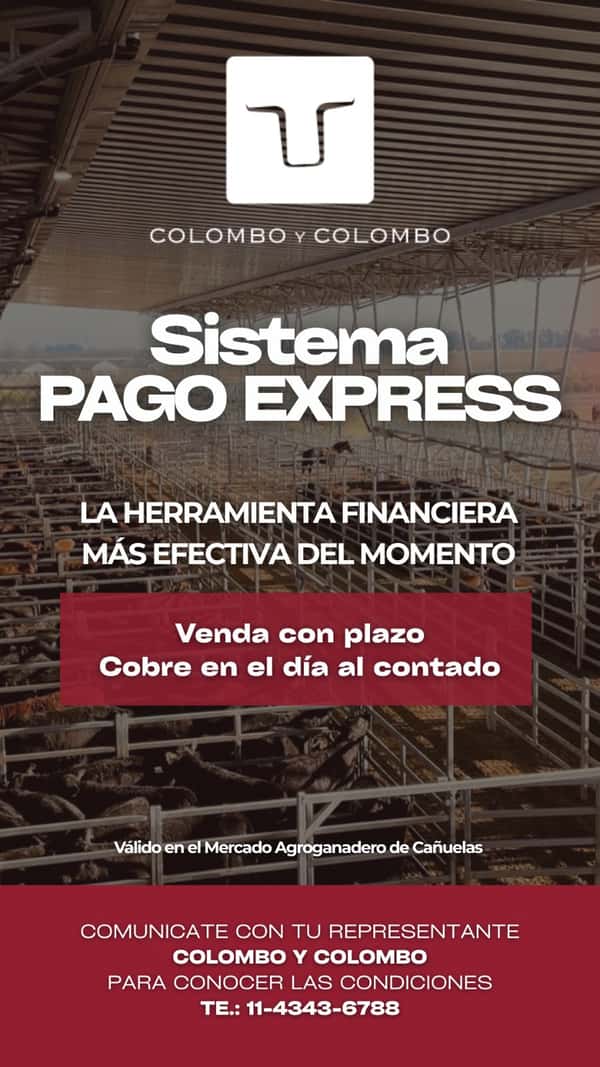 Remate fin de año CyC — COLOMBO Y COLOMBO S.A.