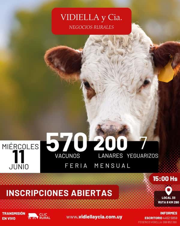 Feria mensual - Vidiella y Cia