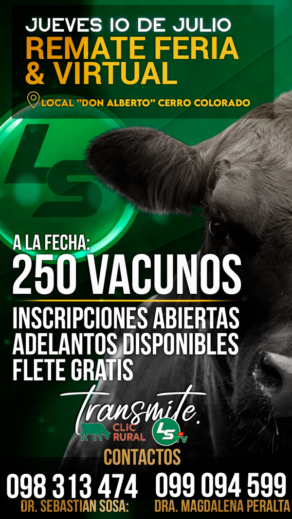 Feria General & Virtual