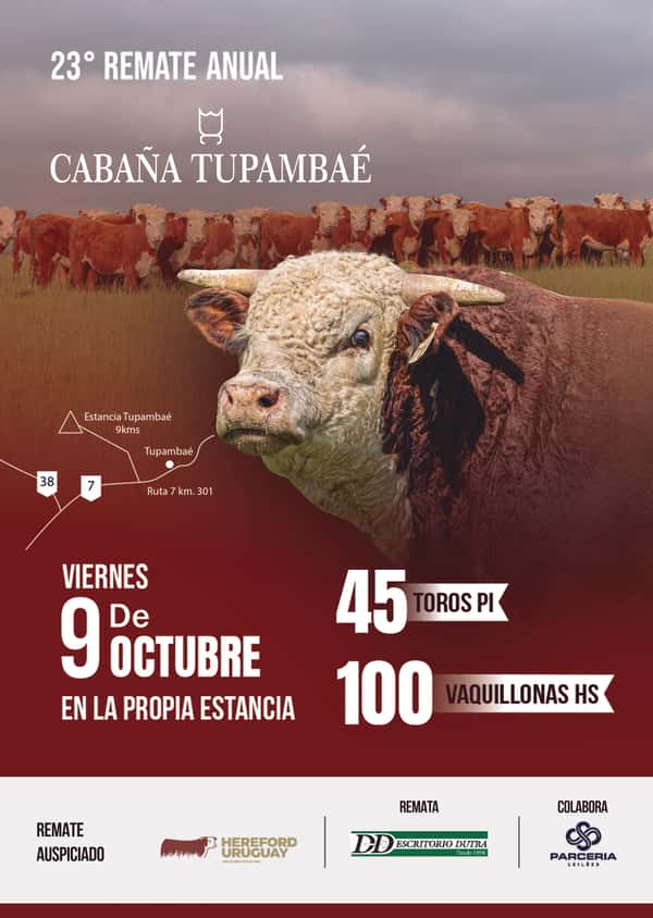 23º Cabaña Tupambaé — Escritorio Dutra LTDA.
