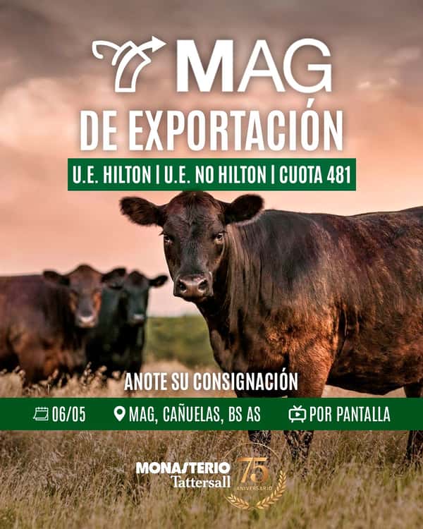  MAG de Exportación