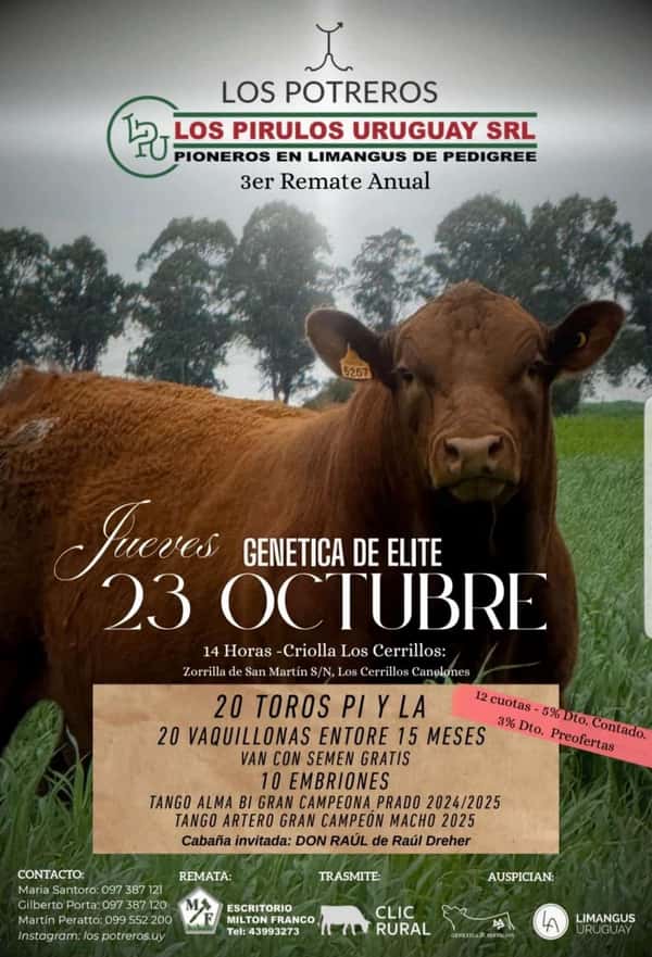3º Los Potreros