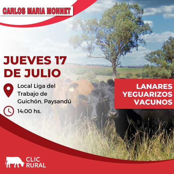  Feria mensual - Liga de Trabajo de Guichon