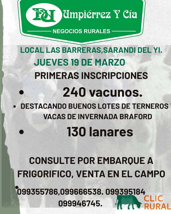  Feria Mensual - Umpierrez y Cia