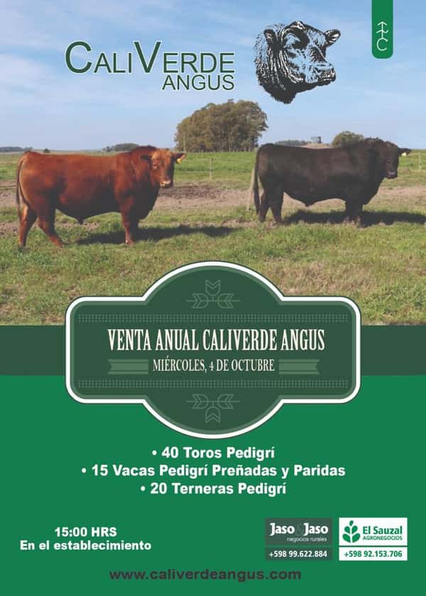 Venta Anual CaliVerde Angus