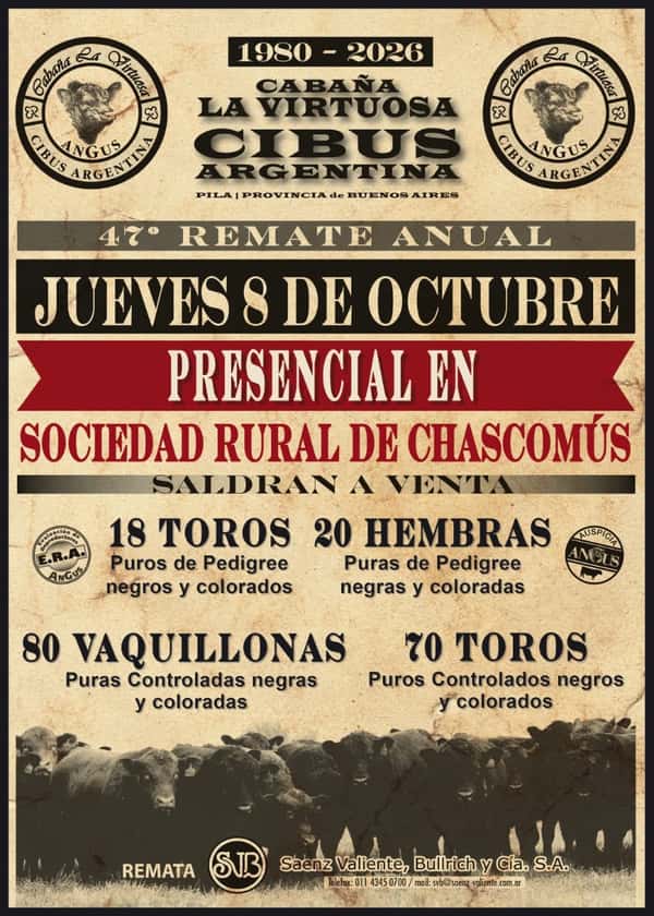 Cibus Argentina — SAENZ VALIENTE, BULLRICH Y CIA. S.A.