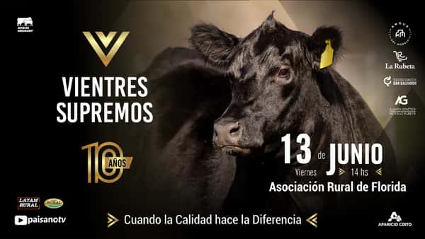  Vientres Supremos