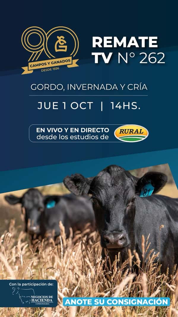 262° REMATE POR PANTALLA - 90° ANIVERSARIO