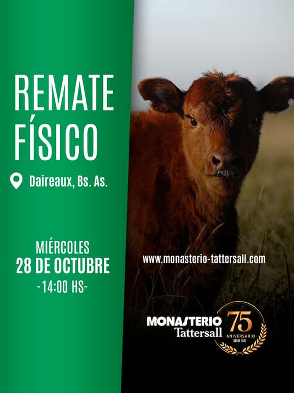 Físico Daireaux — MONASTERIO TATTERSALL S.A.