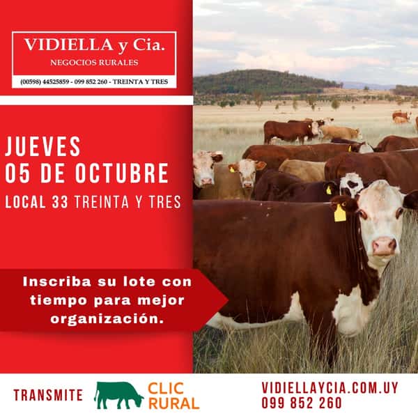 Remate Feria - Vidiella y Cia