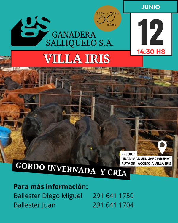 Gordo, Invernada y Cría en Villa Iris