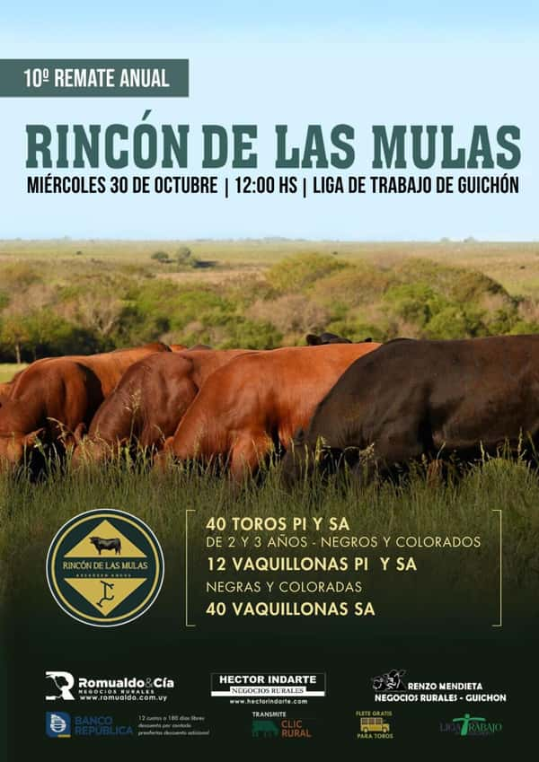 Rincon de las Mulas