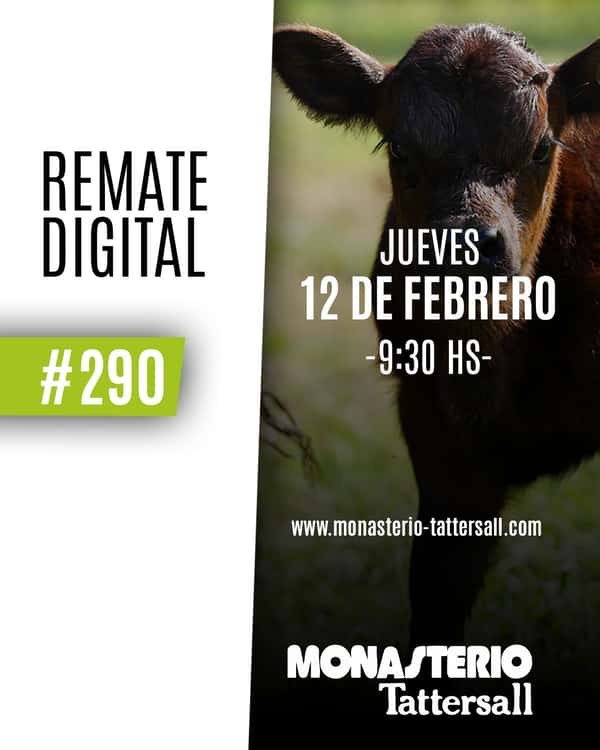  Remate digital 291°