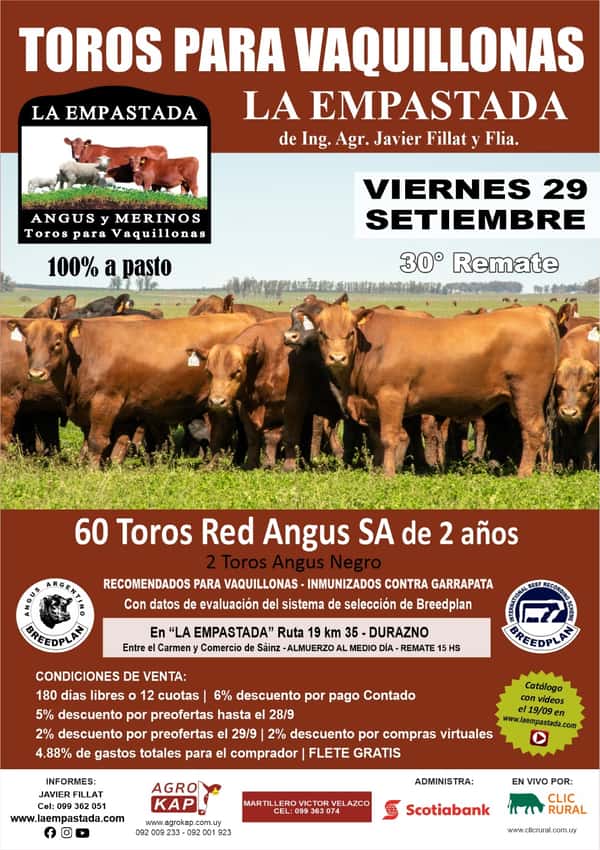 Toros para Vaquillonas - La Empastada