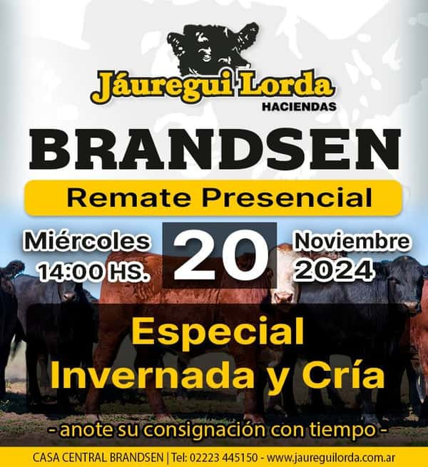 Remate en Brandsen, Miércoles 20 de Noviembre