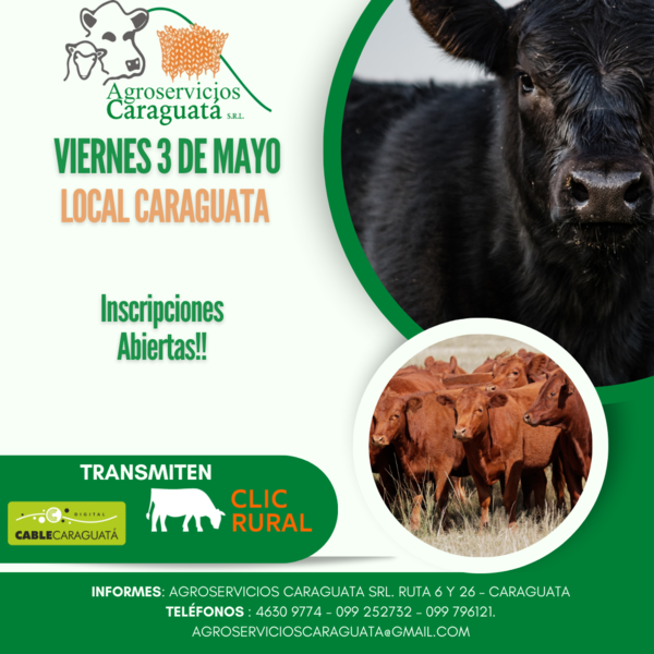  Feria Mensual - Agroservicios Caraguata