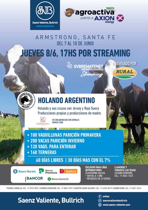  HOLANDO ARGENTINO
