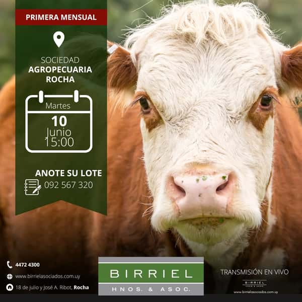  Feria Birriel 10 de Junio