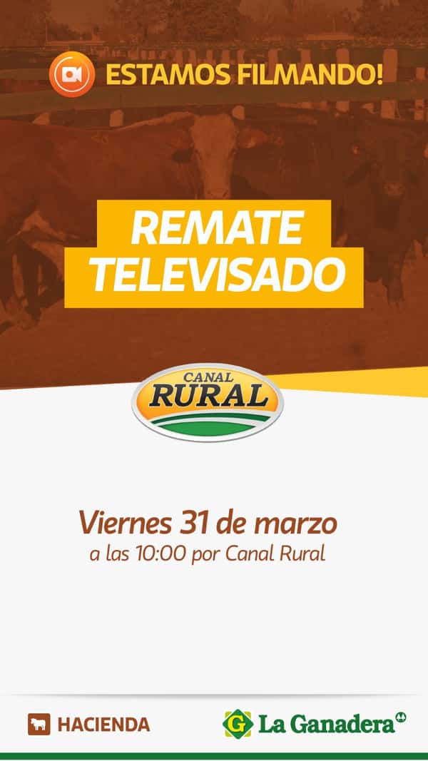 Remate Remate Televisado por Canal Rural