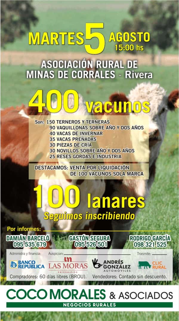 Remate Feria mensual - Coco Morales