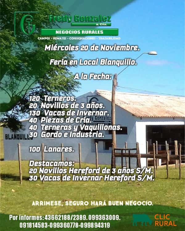 Feria Local Blanquillo