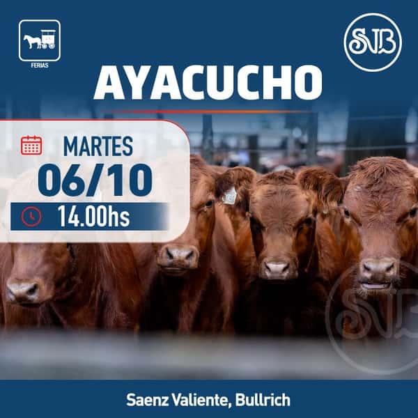 Feria en Ayacucho — SAENZ VALIENTE, BULLRICH Y CIA. S.A.