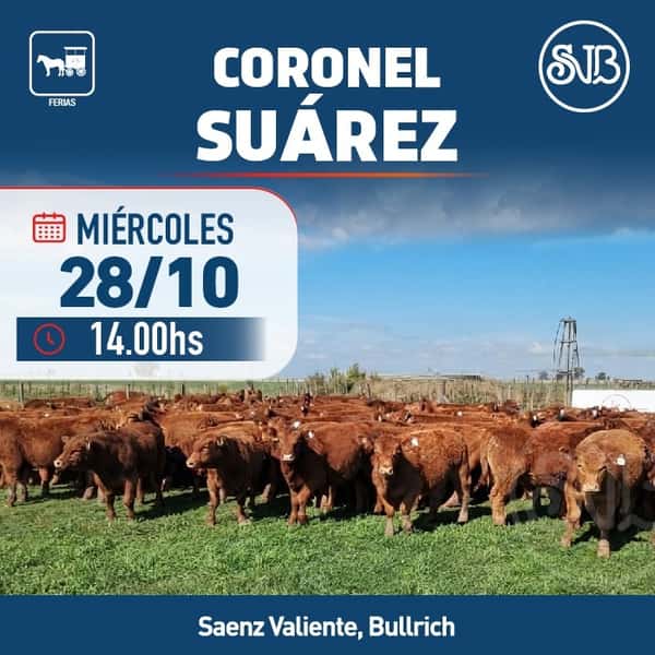 Feria en Cnel. Suárez — SAENZ VALIENTE, BULLRICH Y CIA. S.A.