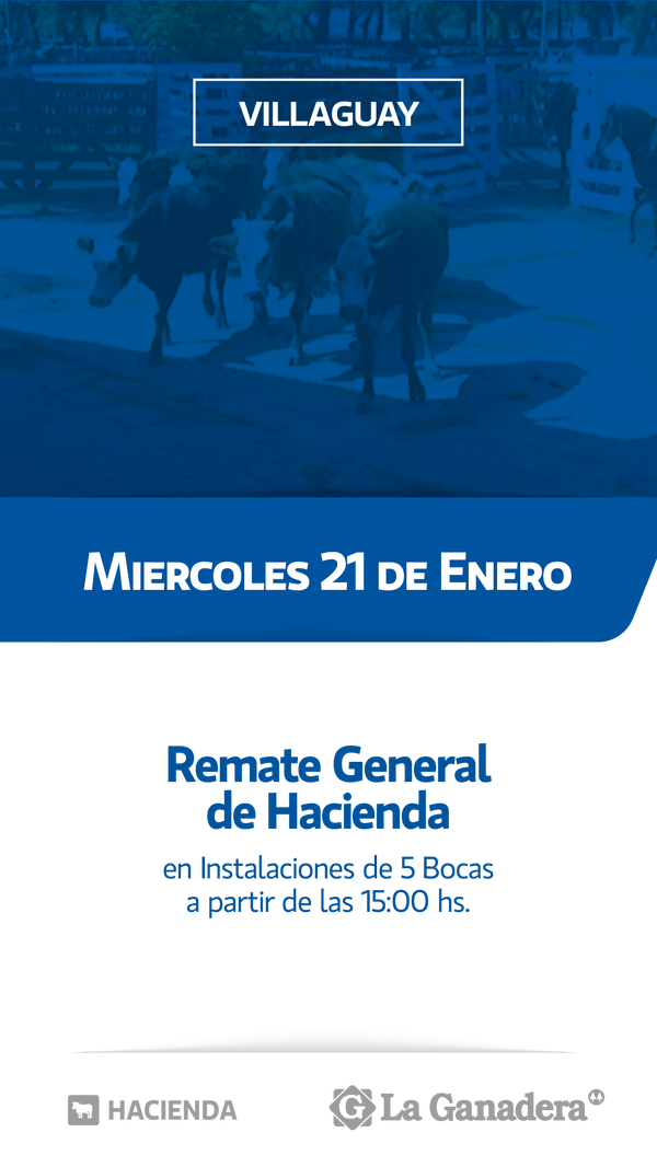  REMATE FERIA 5 BOCAS - PASO DE LA LAGUNA