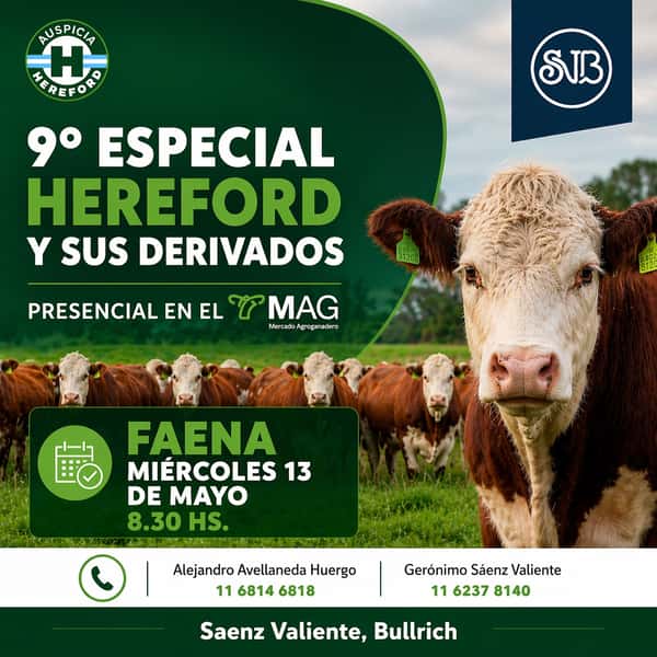  9° Especial Hereford y sus derivados