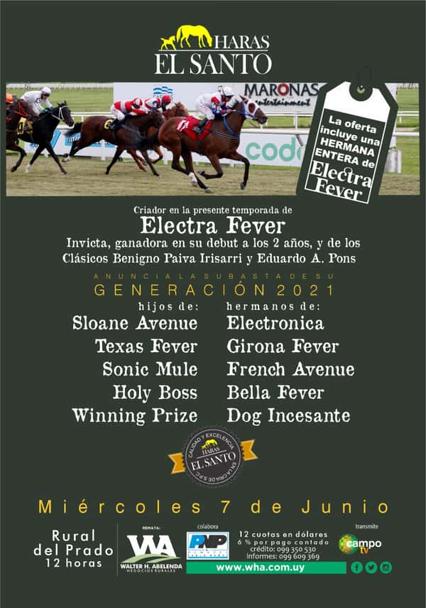 Haras El Santo 