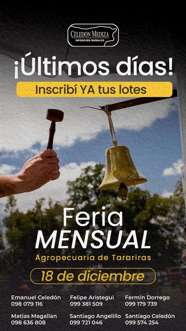 Feria Mensual - Celedon Mediza