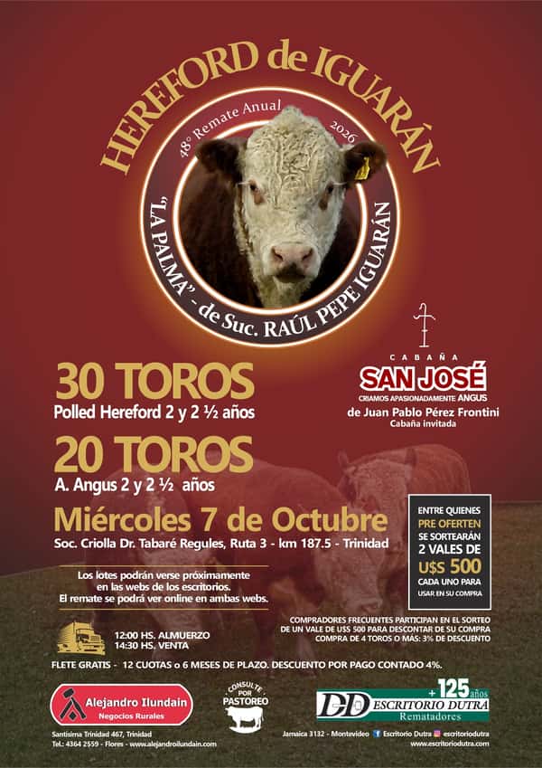  Hereford de Iguarán