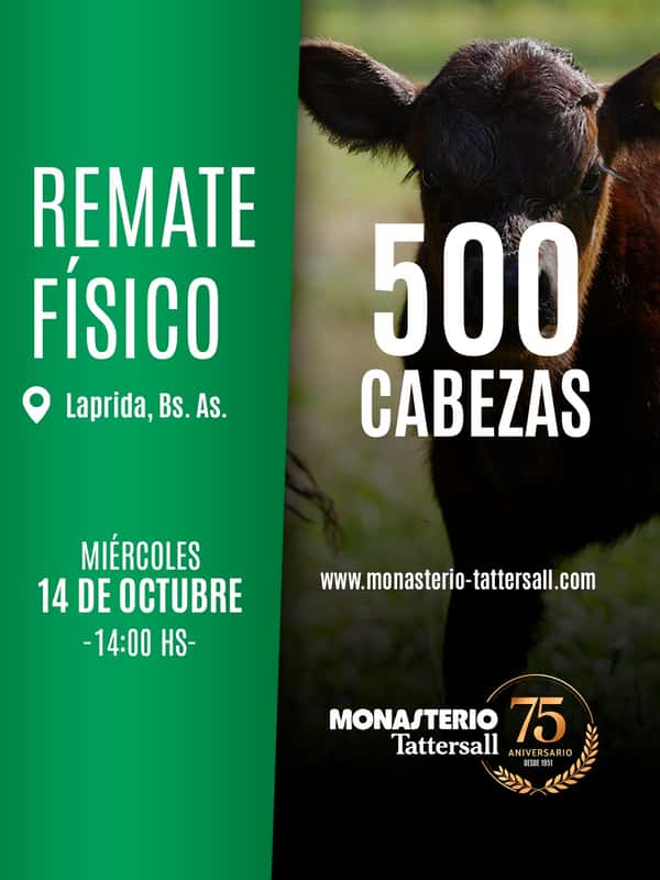 Físico Laprida — MONASTERIO TATTERSALL S.A.