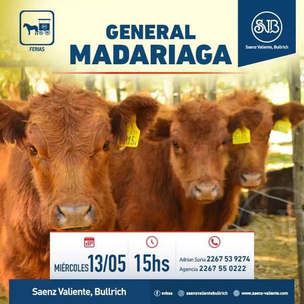  Feria en Gral. Madariaga