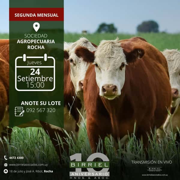 Segunda feria mensual - Birriel Hnos y Asoc