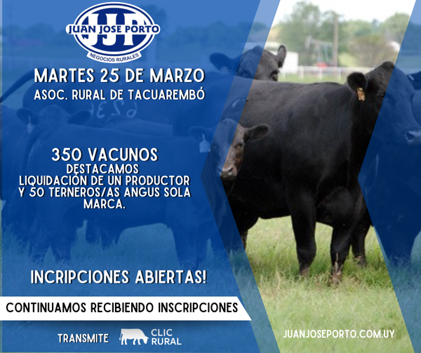 Feria mensual - Juan Jose Porto