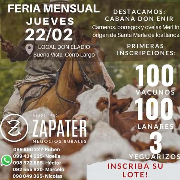  Feria Mensual - Zapater Negocios Rurales