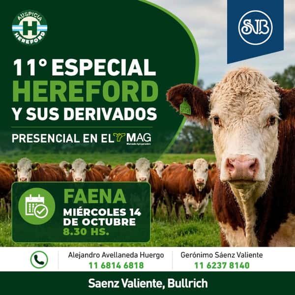 11° Especial Hereford  — SAENZ VALIENTE, BULLRICH Y CIA. S.A.