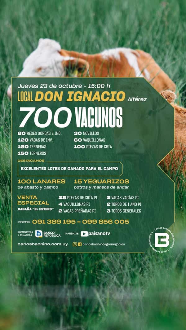 Feria Mensual - Don Ignacio