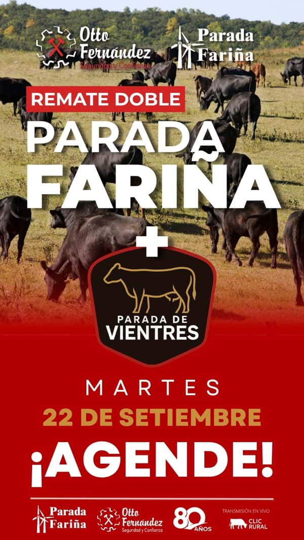 Parada de Vientres + Feria General