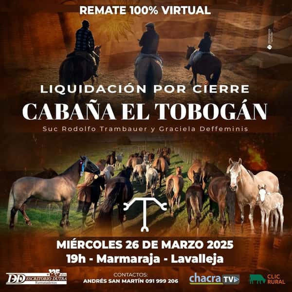 Liquidación por cierre - Cabaña El Tobogán