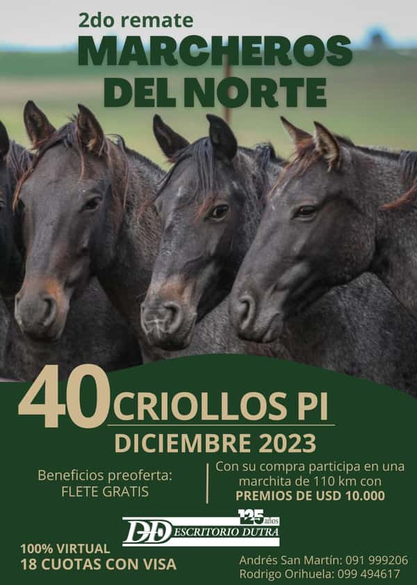  2° Remate Marcheros del Norte