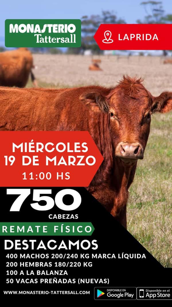  Remate Físico Laprida