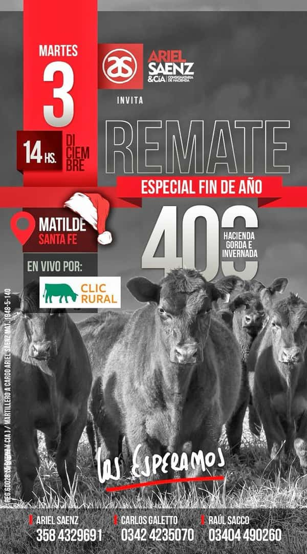 Remate haciendas generales, Matilde,