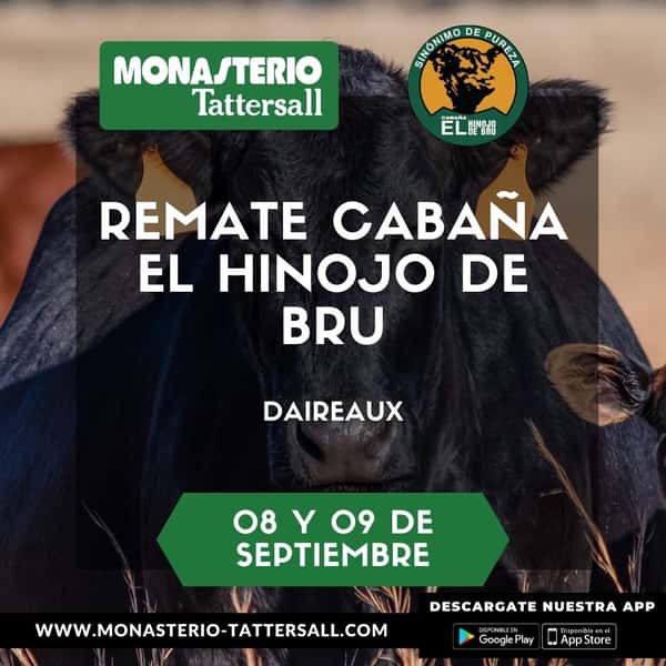  Remate El Hinojo de Bru