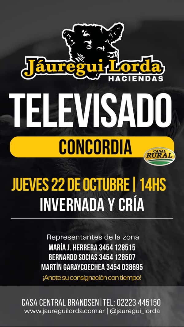 Remate televisado — JÁUREGUI LORDA S.R.L.