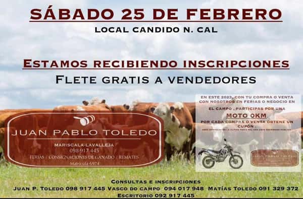 Remate Feria - Juan Pablo Toledo