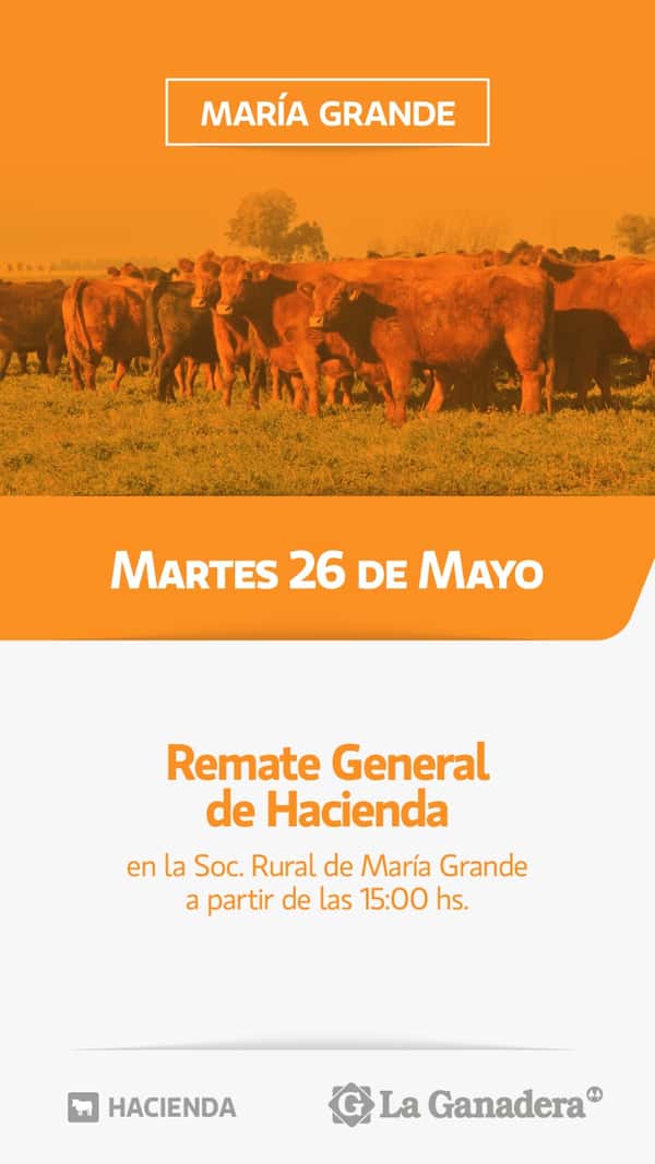  REMATE FERIA EN SOCIEDAD RURAL DE MARÍA GRANDE