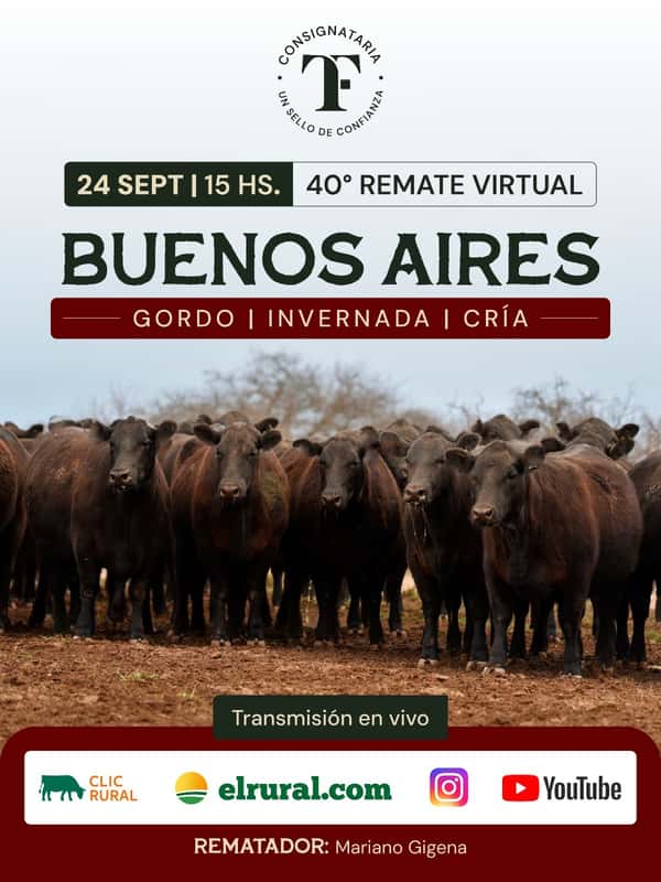 40° Remate virtual